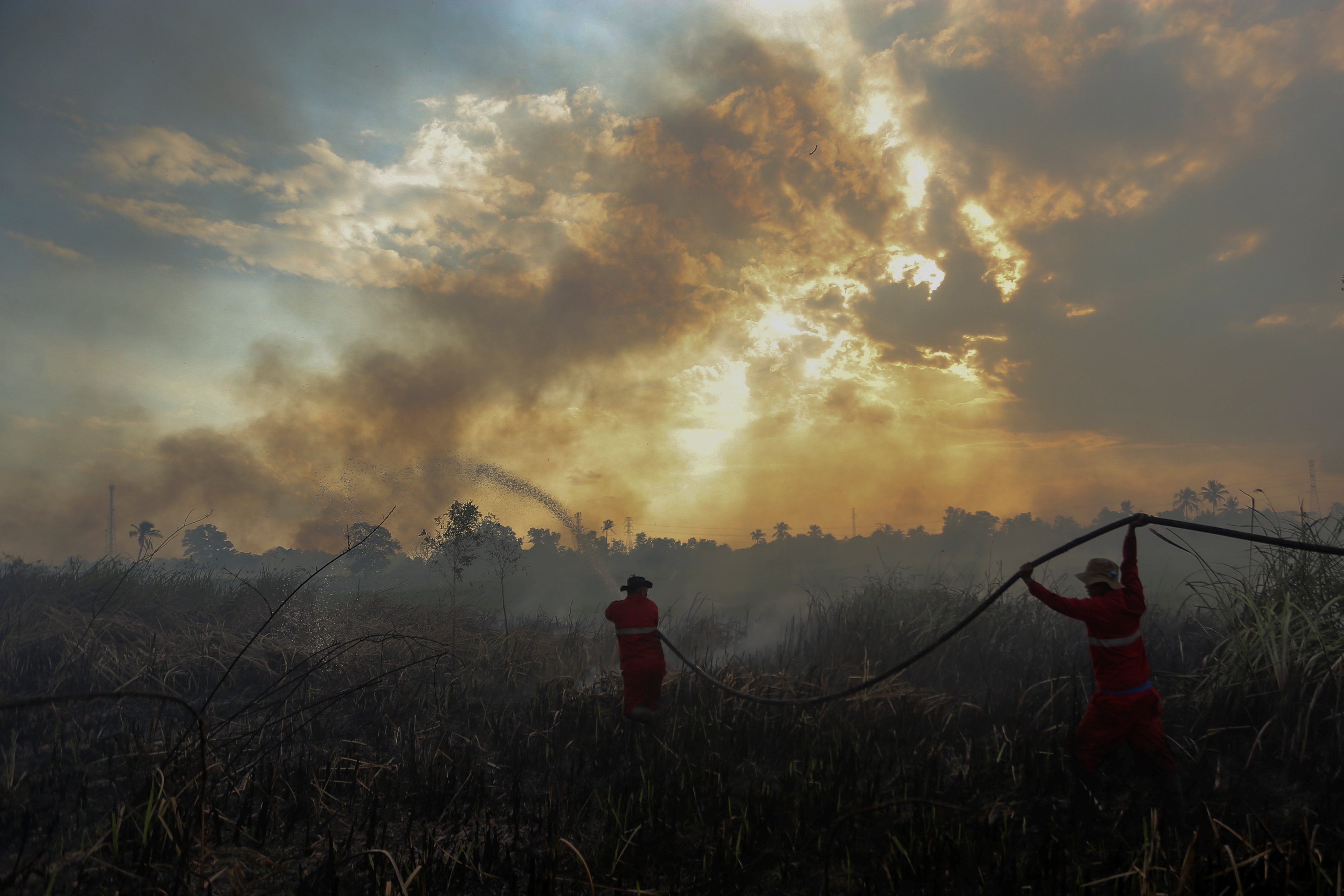 Dai ta quan doi Indonesia yeu cau ban nguoi dot rung hinh anh