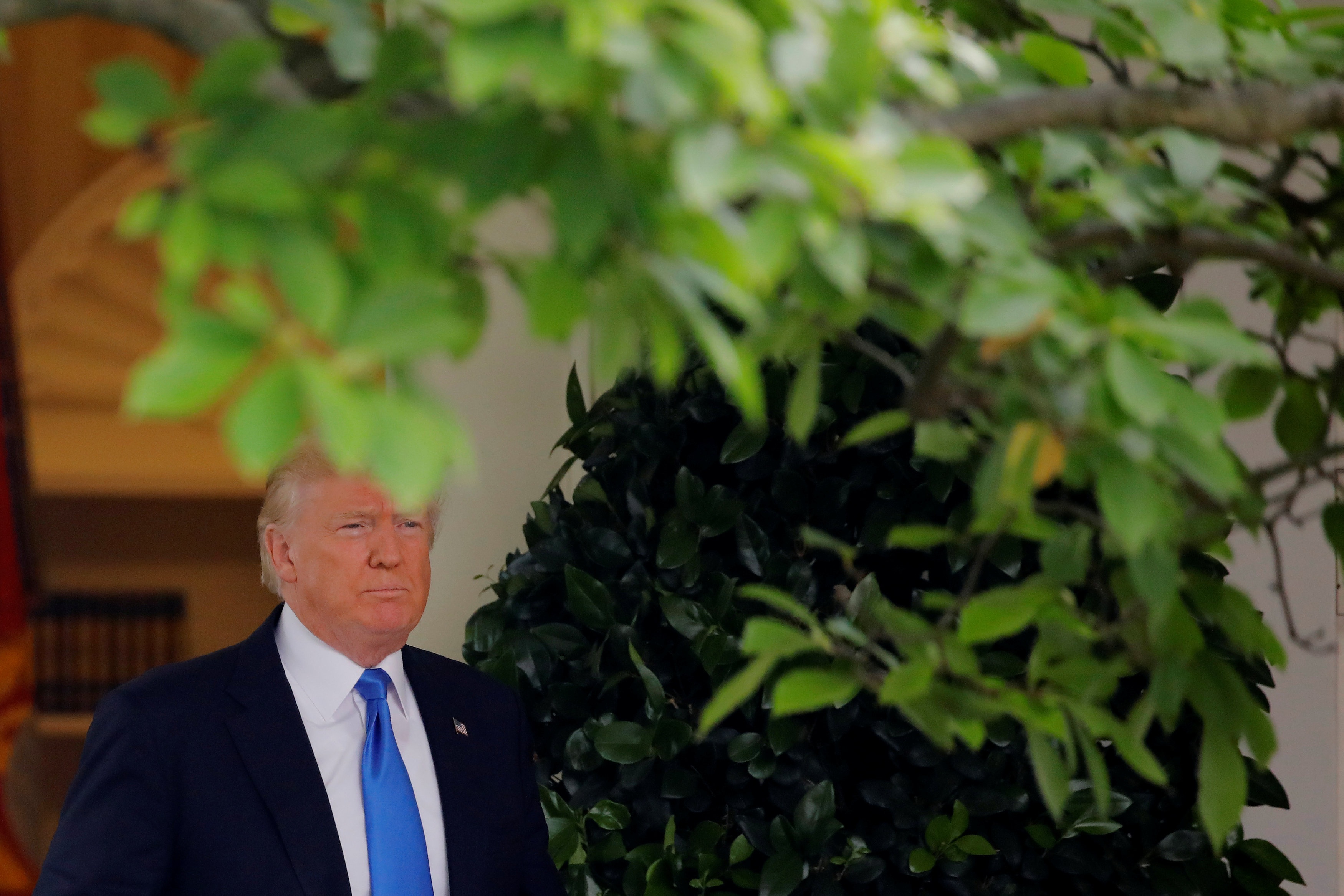 nguoi thay the ong Trump anh 1