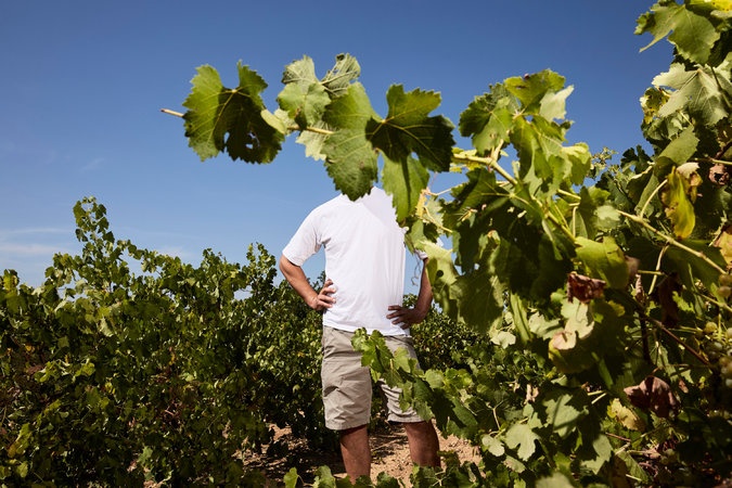 cuoc chien ruou vang o Phap anh 4