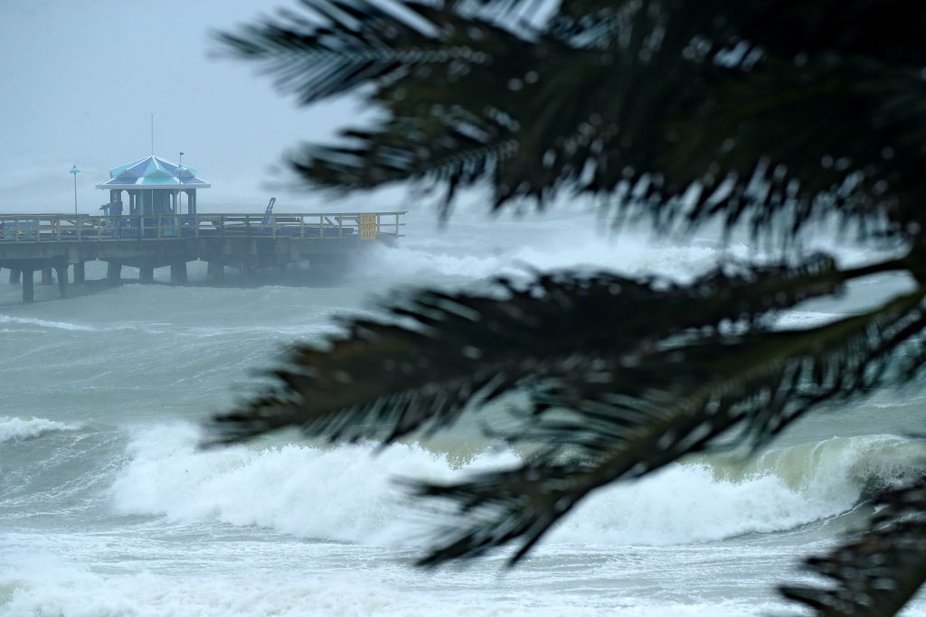 bao Irma do bo anh 8