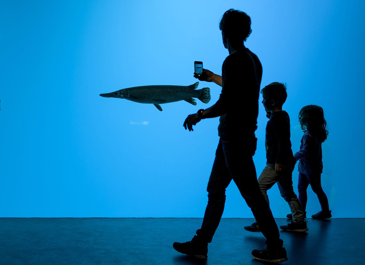 anh dep trong tuan anh 10