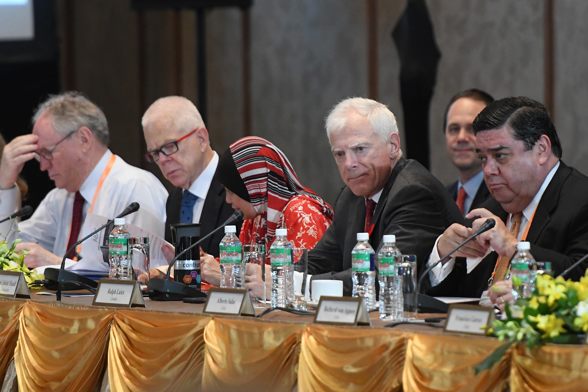 APEC tai Da Nang anh 7