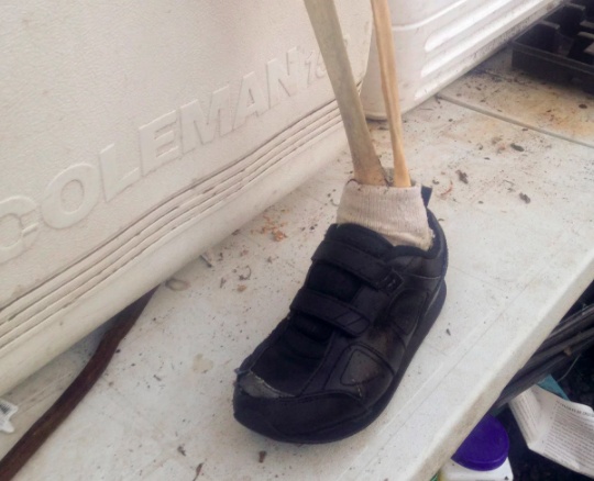 Bi an nhung ban chan nguoi dat vao bo bien Canada hinh anh