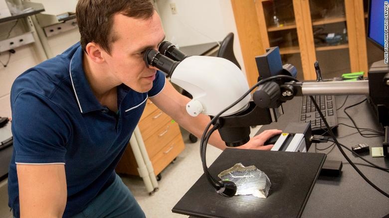 rung o Nam Cuc anh 3