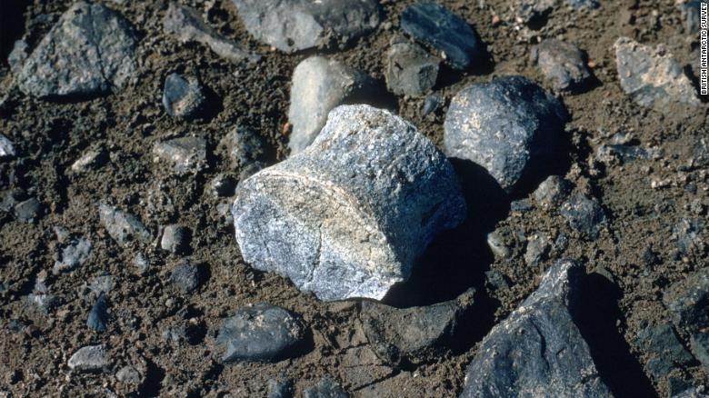 rung o Nam Cuc anh 7