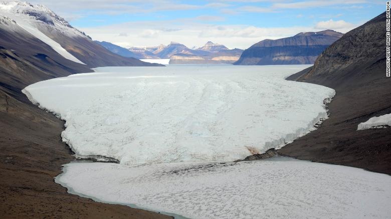 Cuoc 'truy tim' khu rung 280 trieu nam truoc o Nam Cuc hinh anh