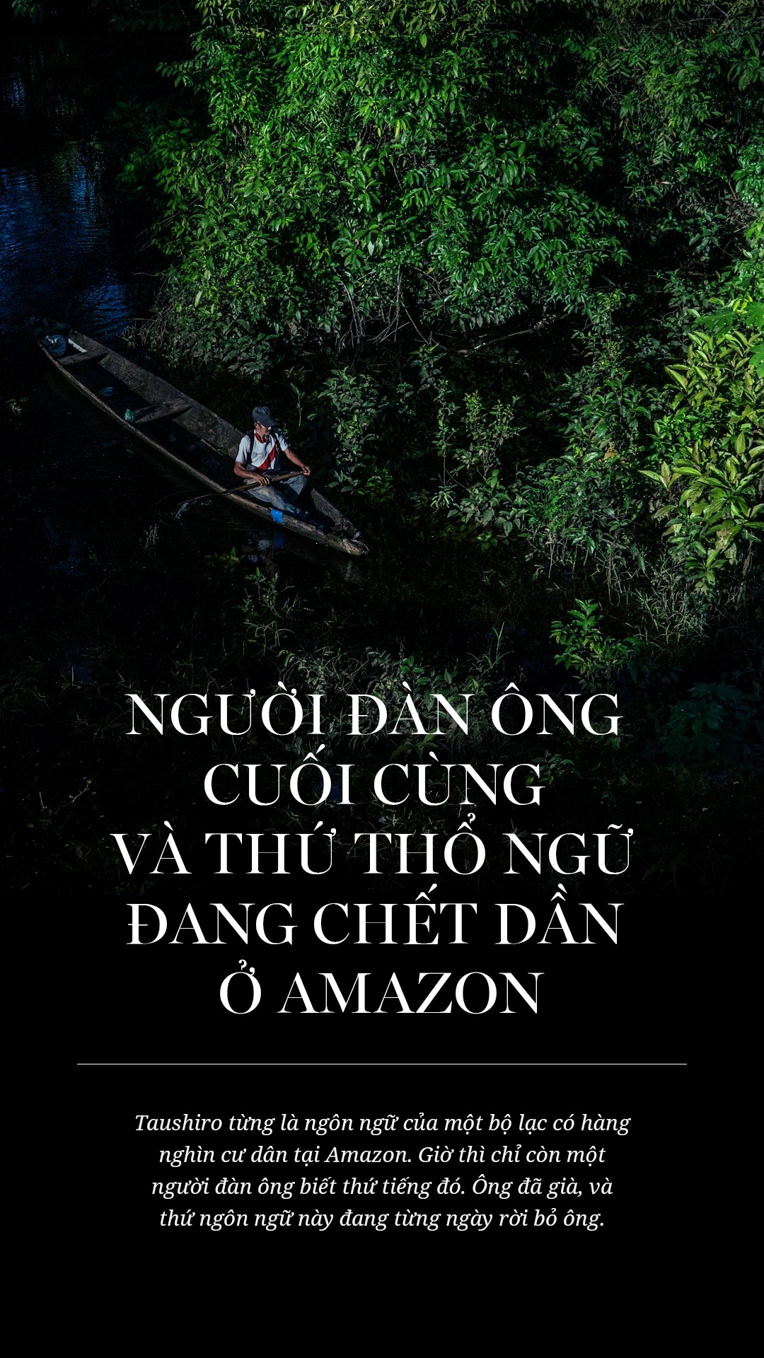 bộ tộc Amazon ảnh 1 bo toc Amazon anh 1