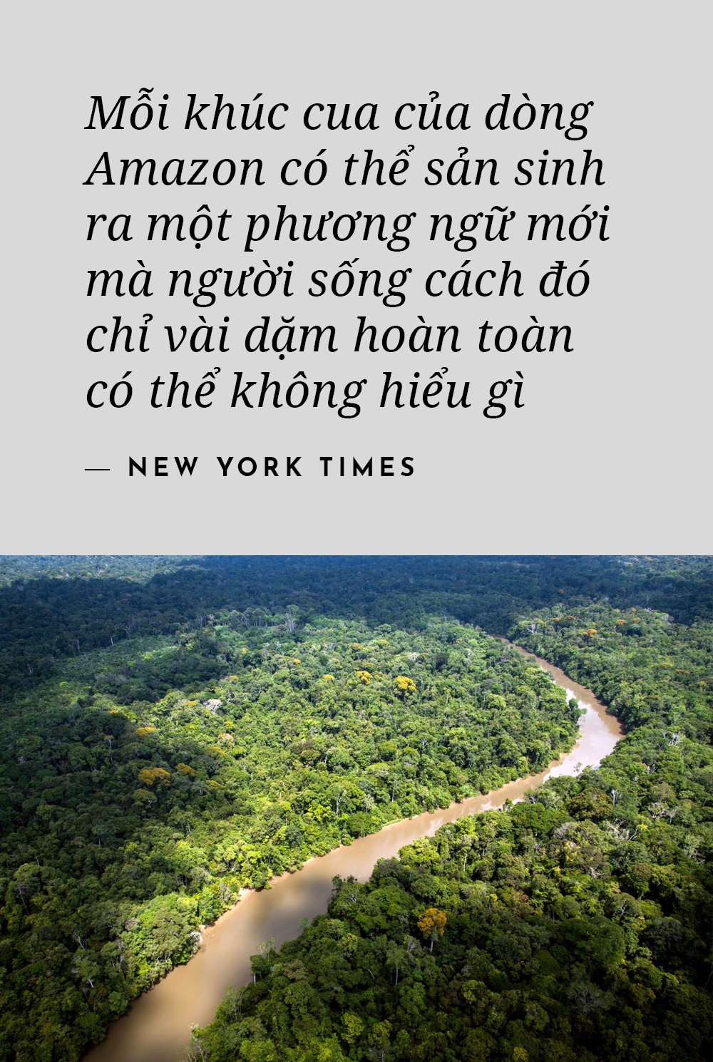 bộ tộc Amazon ảnh 3 bo toc Amazon anh 3