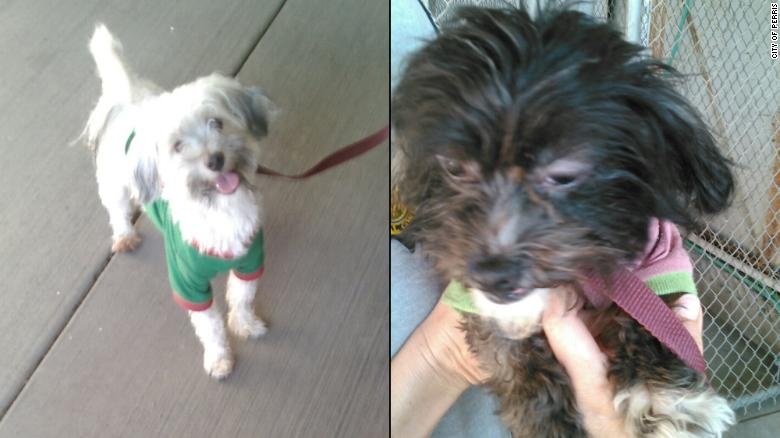 bo me giam cam con anh 2