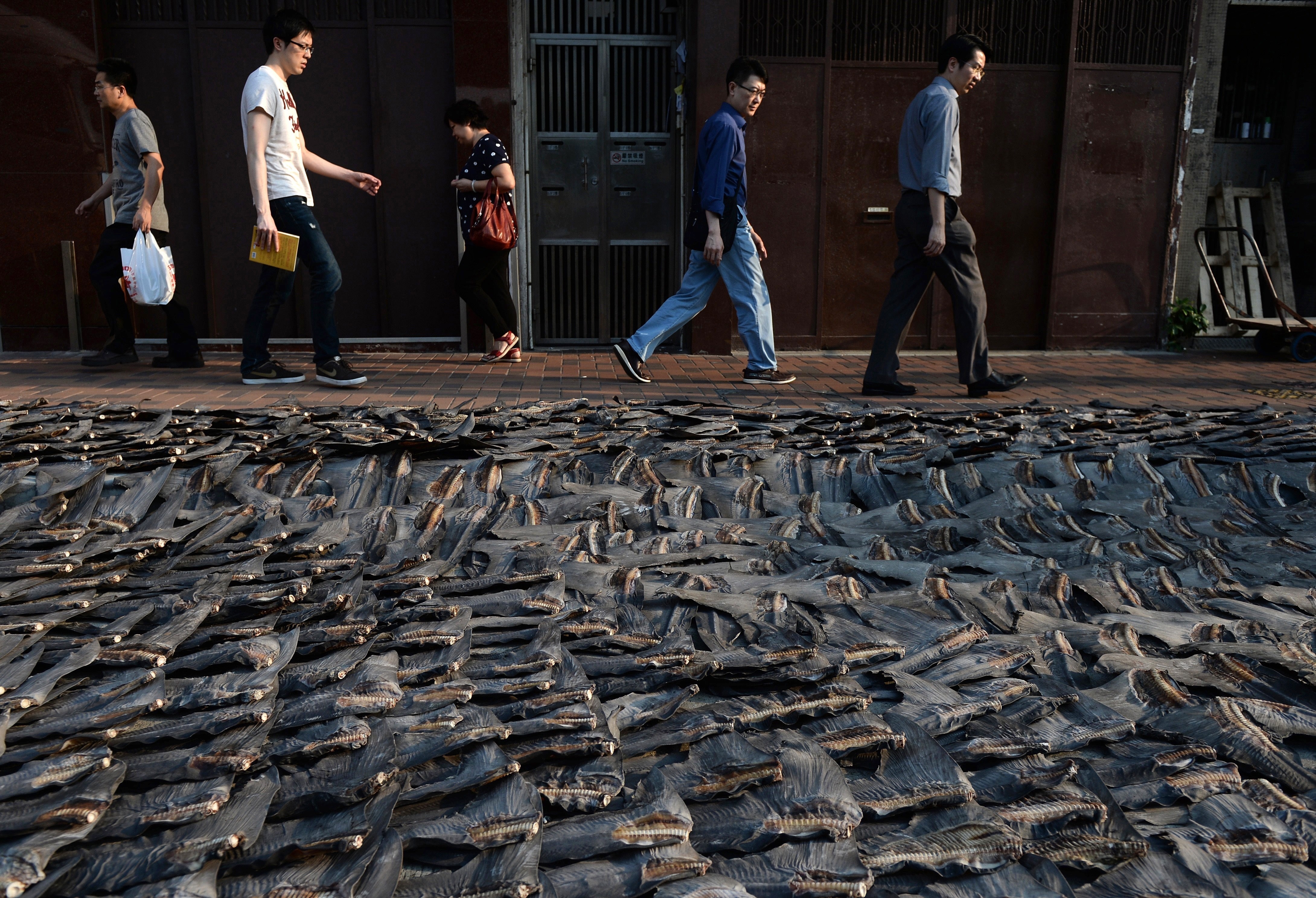 buon ban vay ca map anh 1