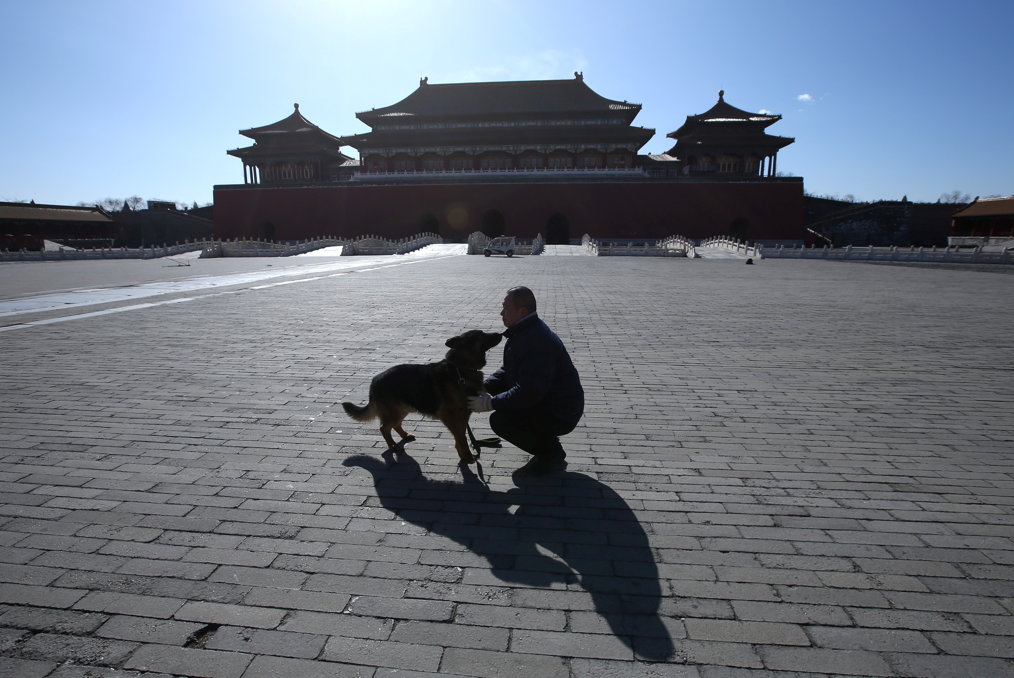 cho tuan tra Tu Cam Thanh anh 3