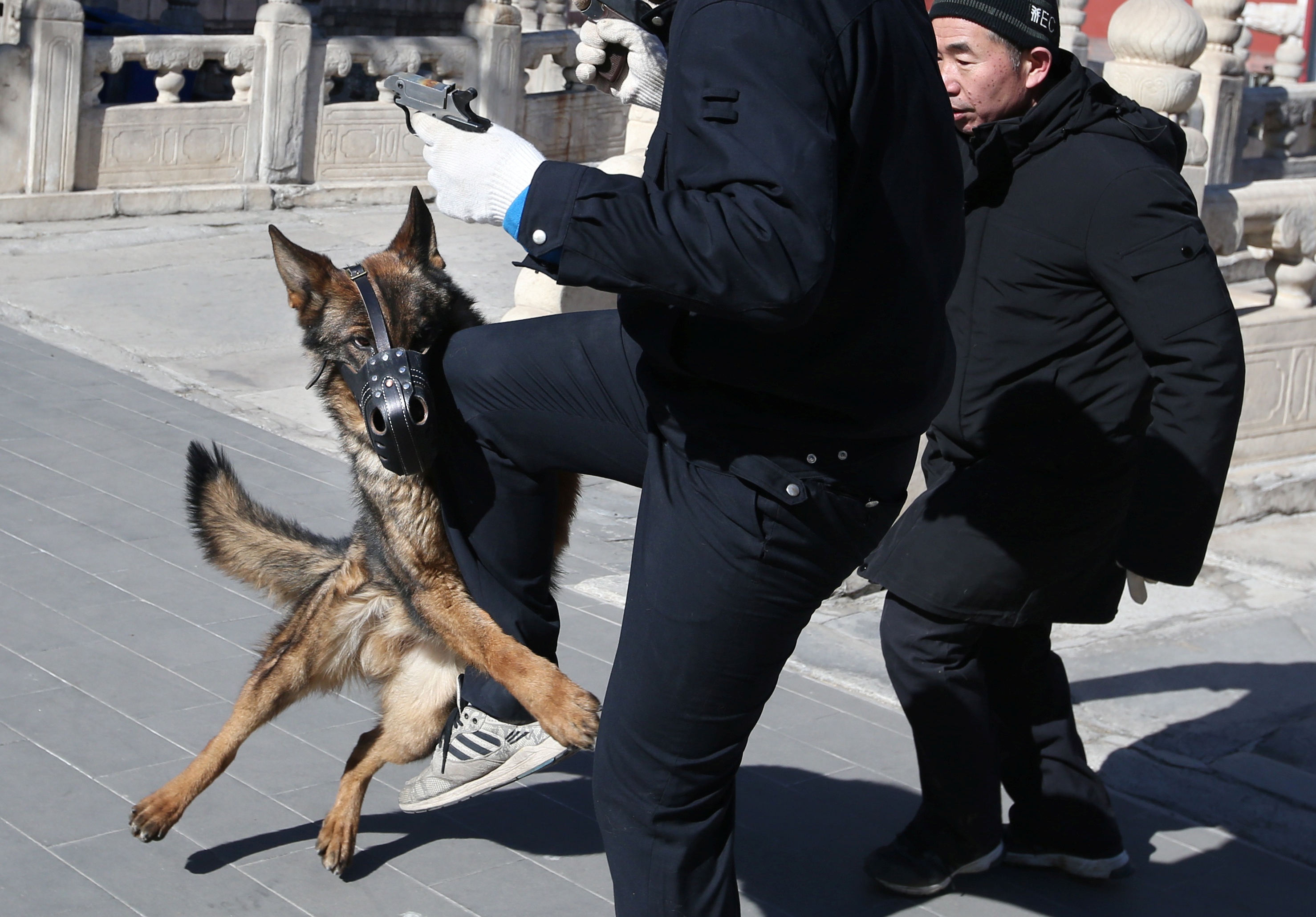 cho tuan tra Tu Cam Thanh anh 4