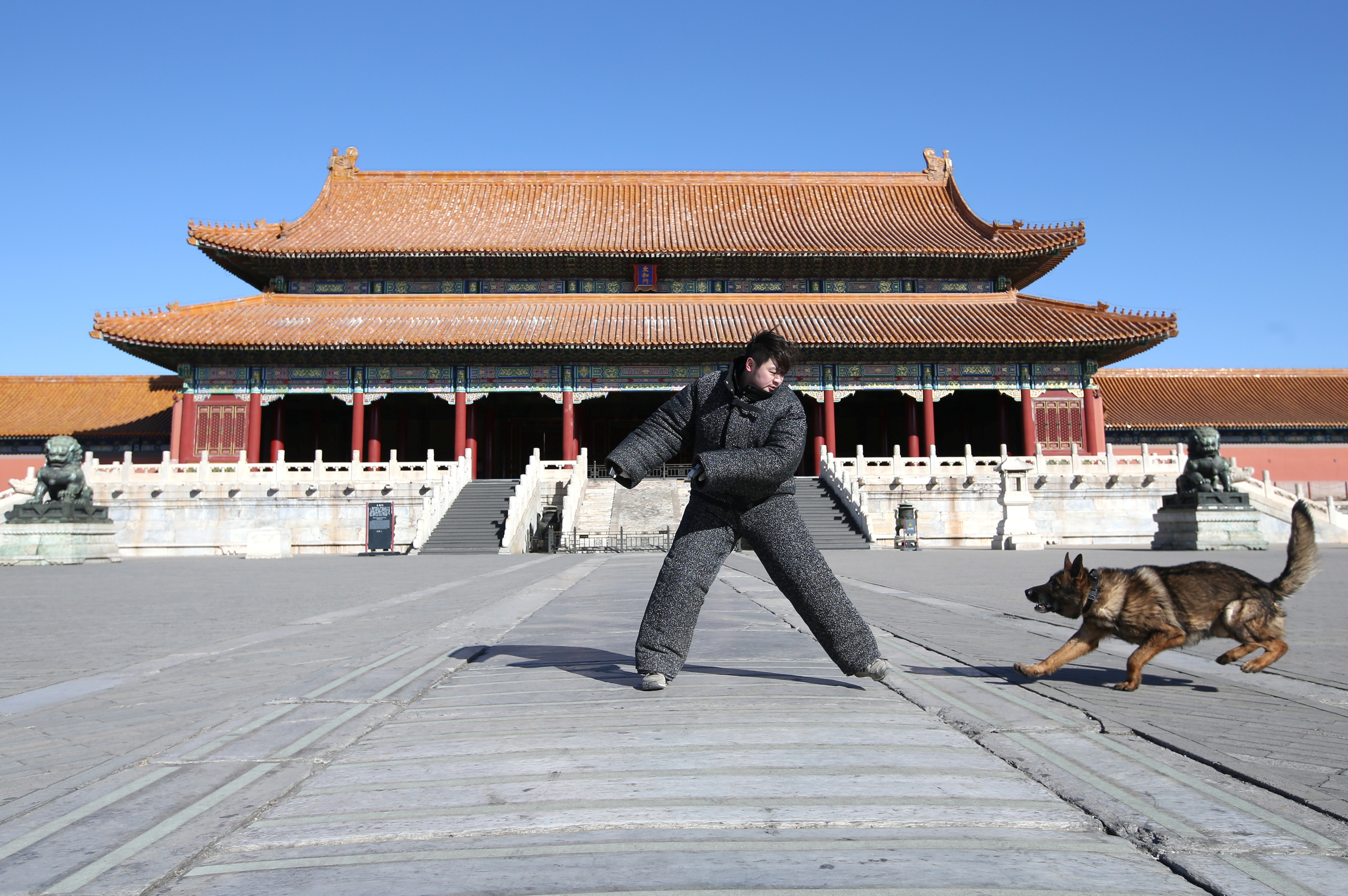 cho tuan tra Tu Cam Thanh anh 1