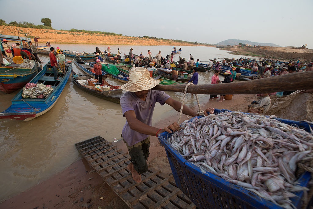 Thủ tướng Nguyễn Xuân Phúc ảnh 1 Thu tuong Nguyen Xuan Phuc anh 1