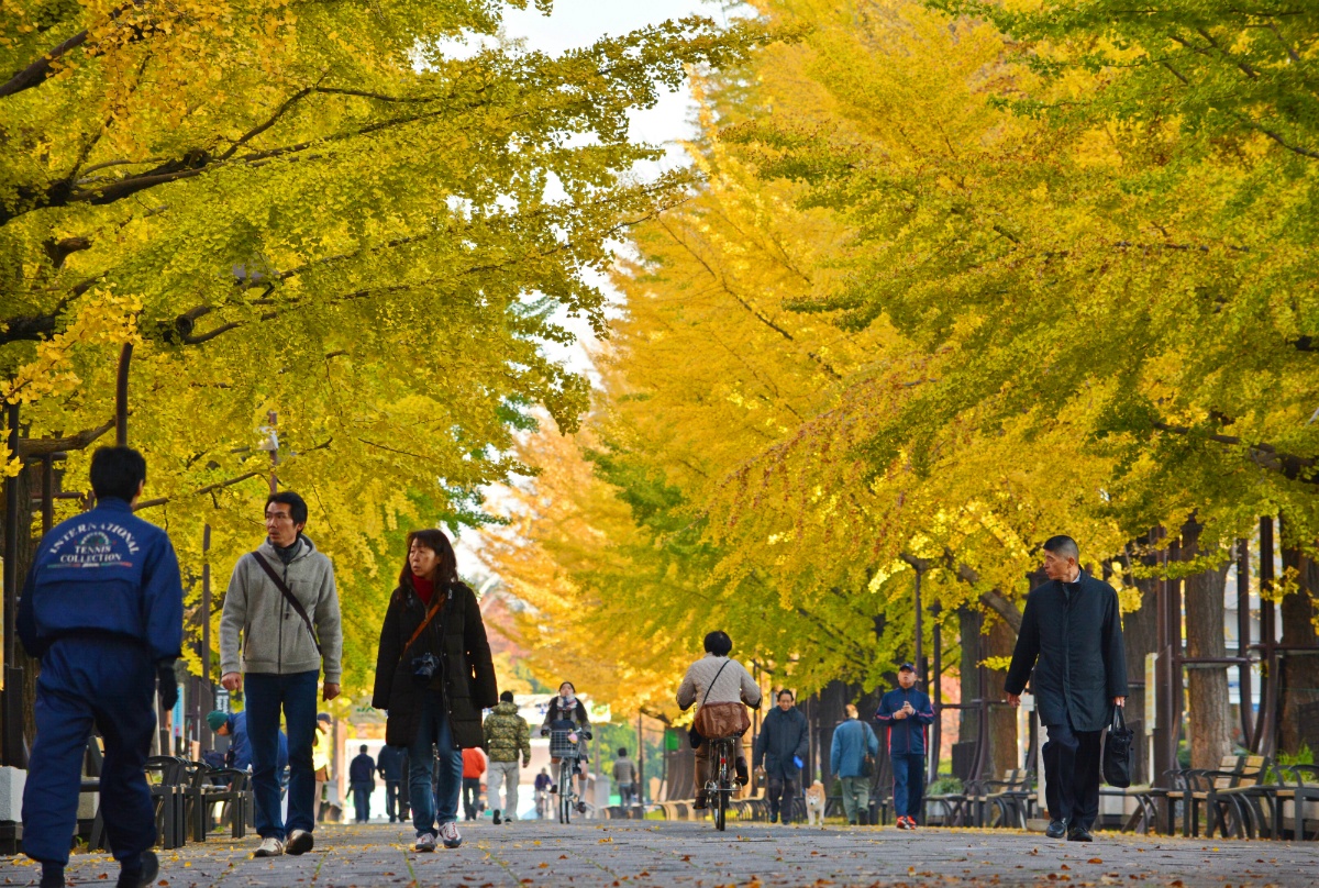 To chuc moi gioi Nhat bi cao buoc an chan luong cua lao dong Viet hinh anh