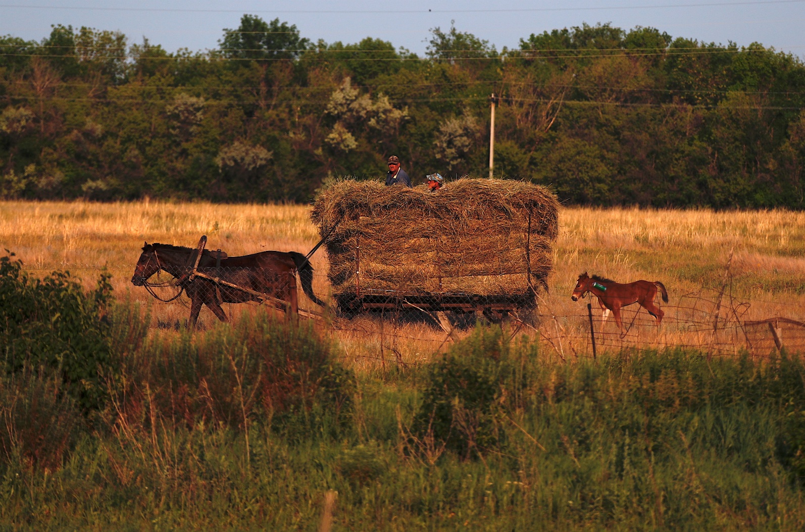 World Cup tai Nga anh 6
