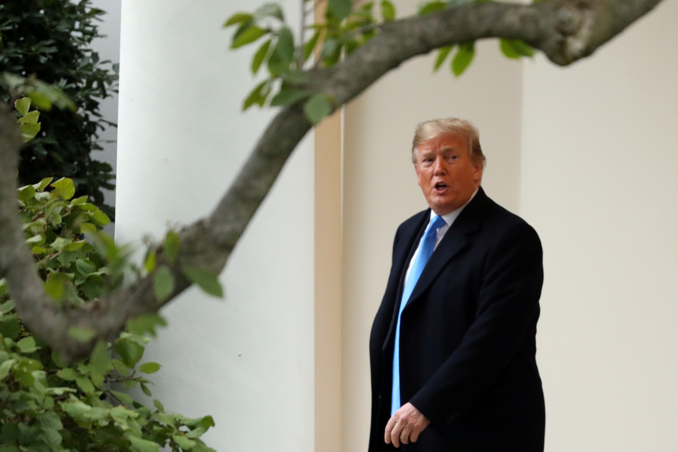 bau cu giua ky My anh 4