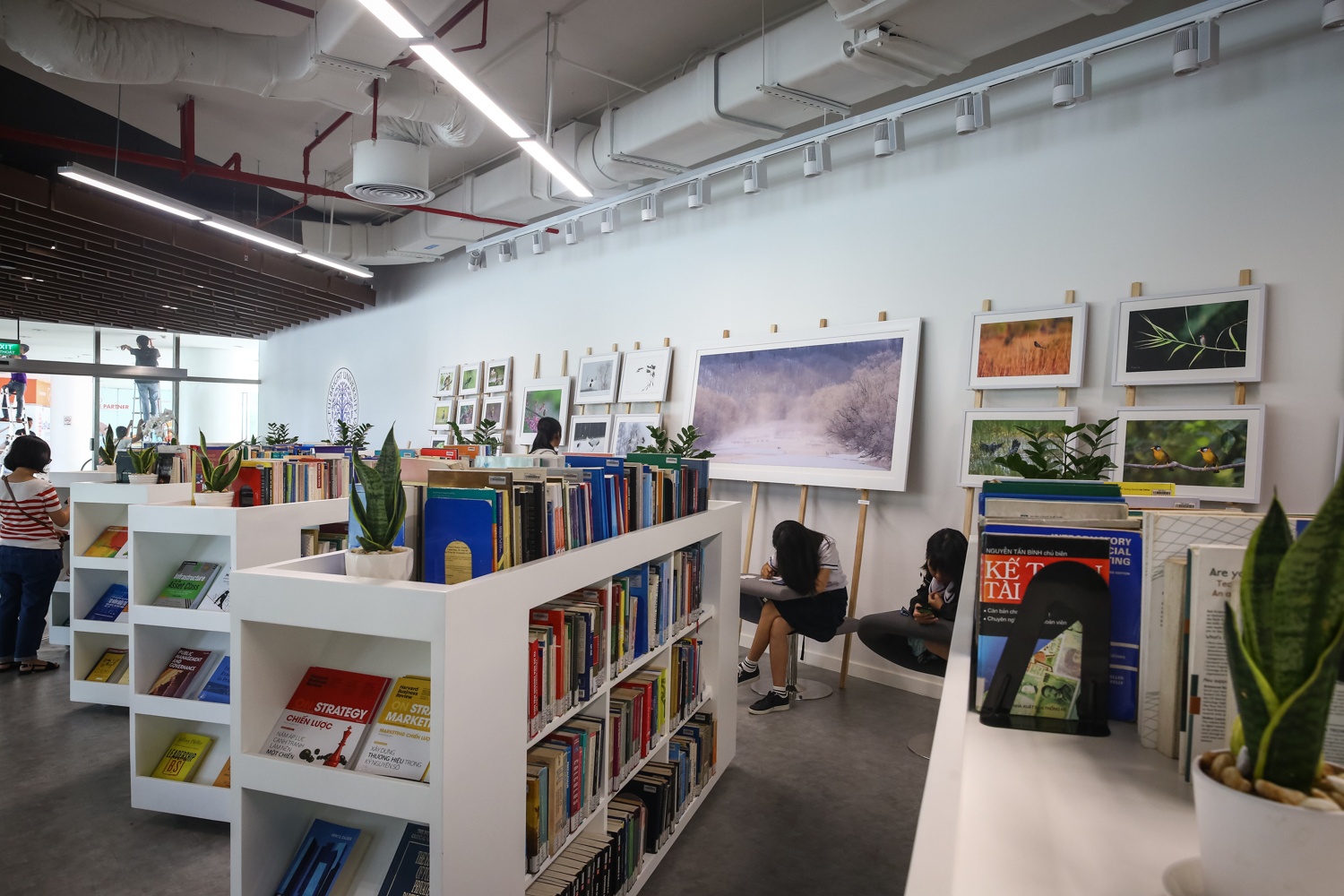 dai hoc Fulbright tuyen sinh ra sao anh 3