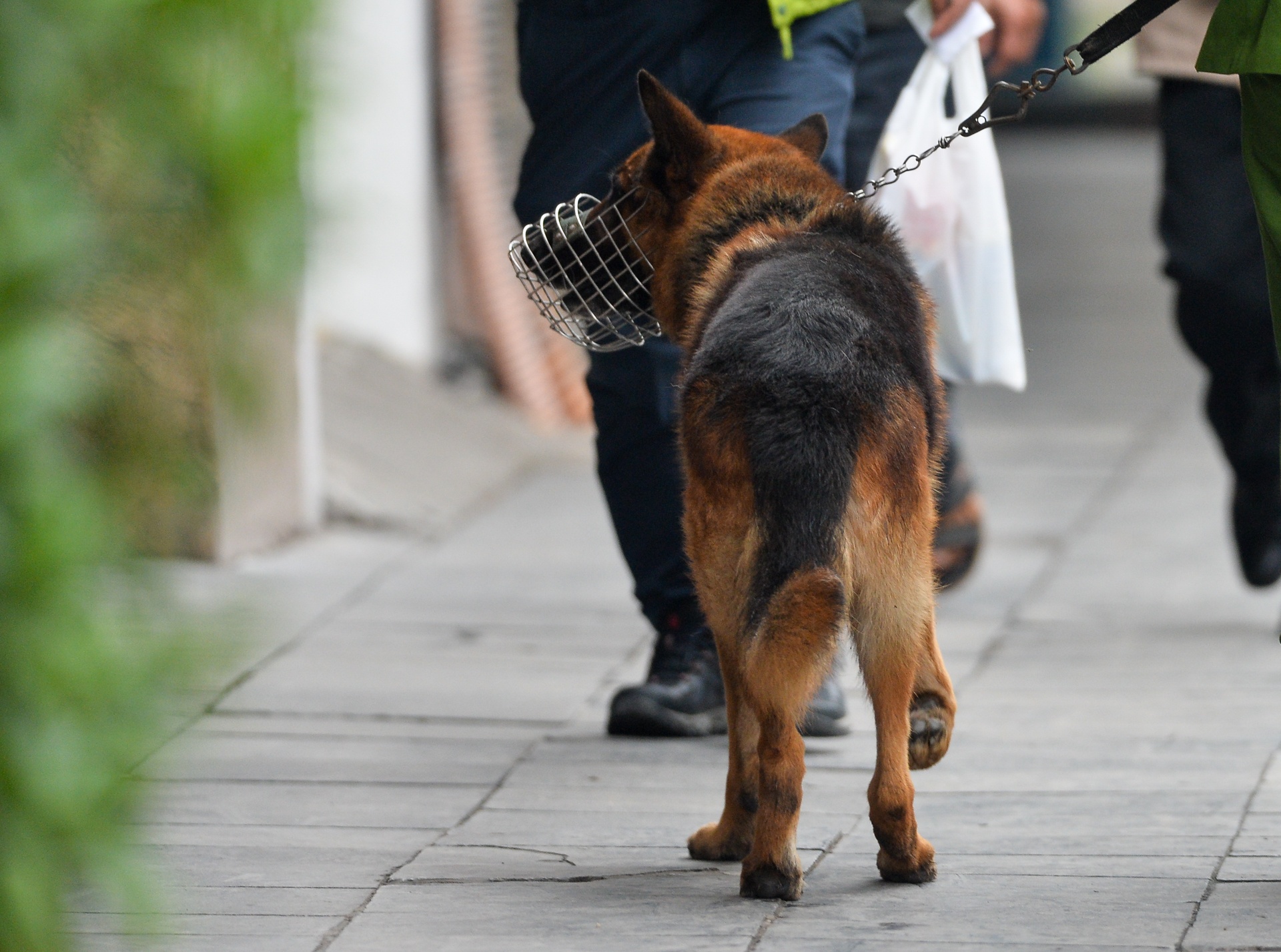 Trump Kim Viet Nam anh 5