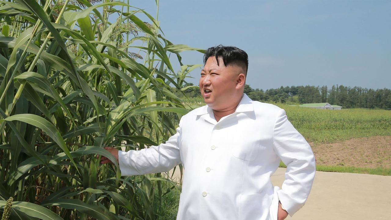 Trieu Tien trai qua han han nghiem trong nhat trong mot the ky hinh anh