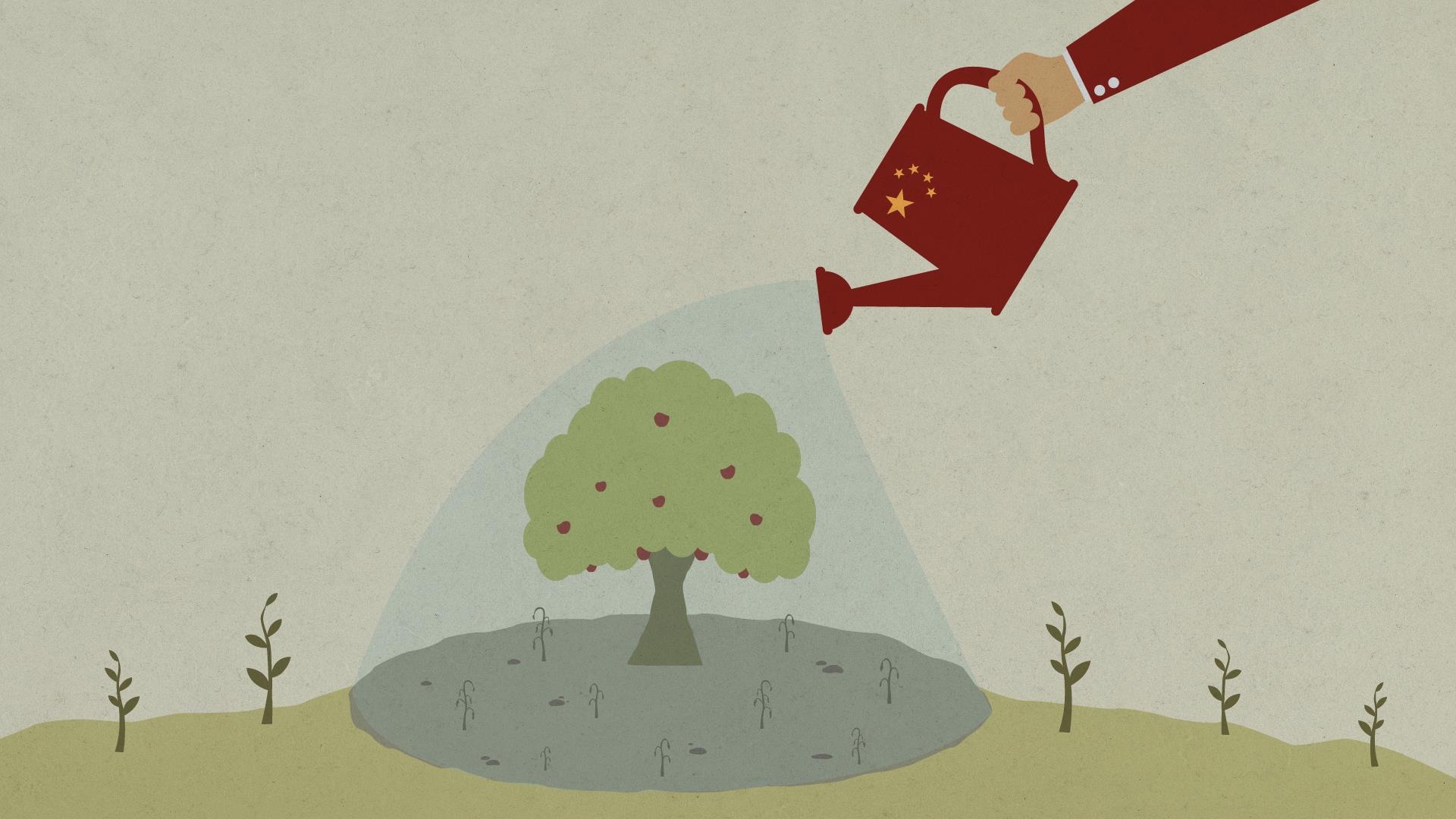 đầu tư Trung Quốc vào Campuchia ảnh 2 dau tu Trung Quoc vao Campuchia anh 2