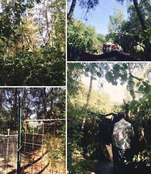 chien luoc tang hinh vuot bien anh 2