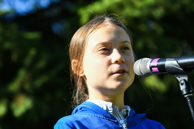 Tong thong Brazil goi Greta Thunberg la 'sau bo' hinh anh