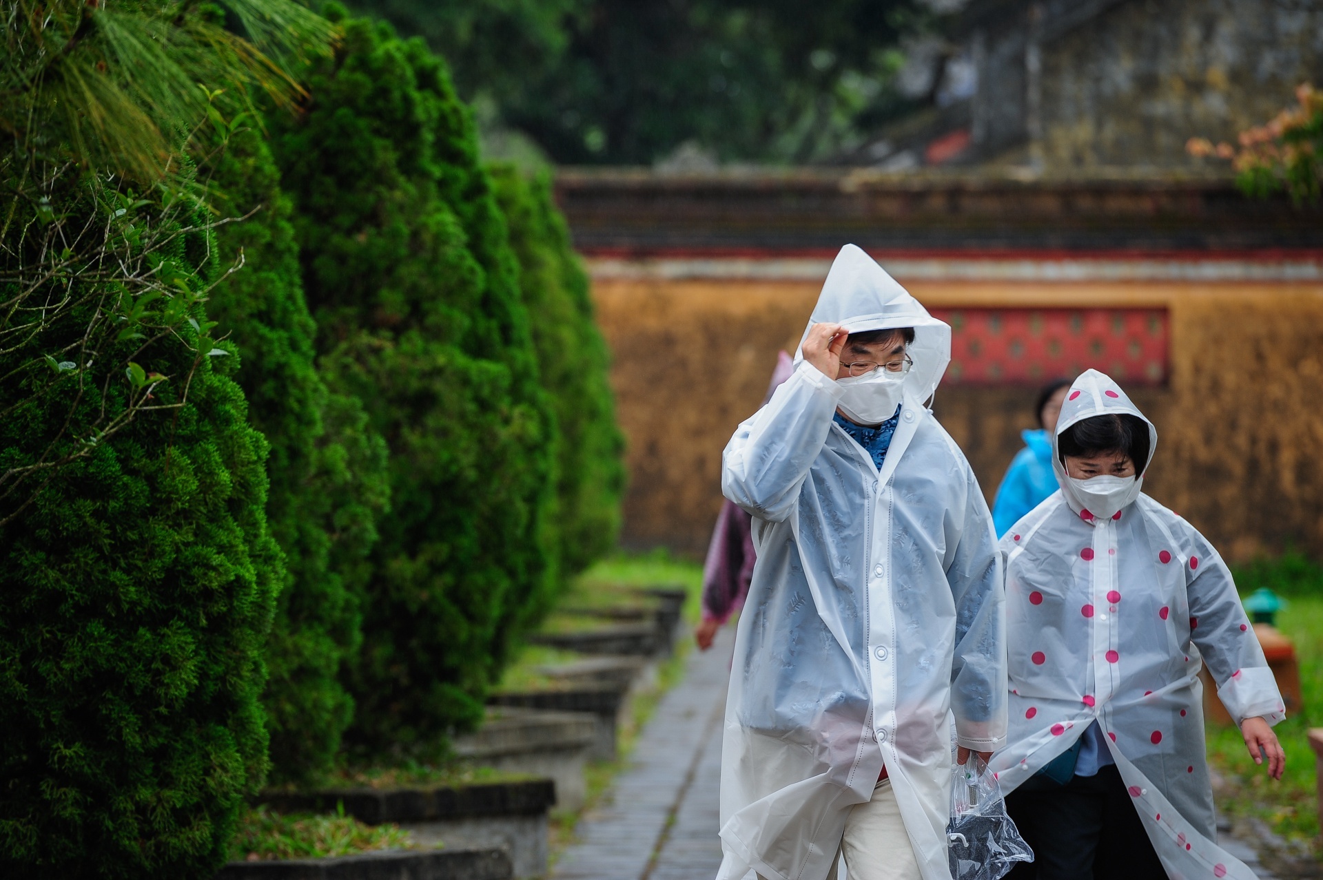 virus corona deo khau trang anh 1