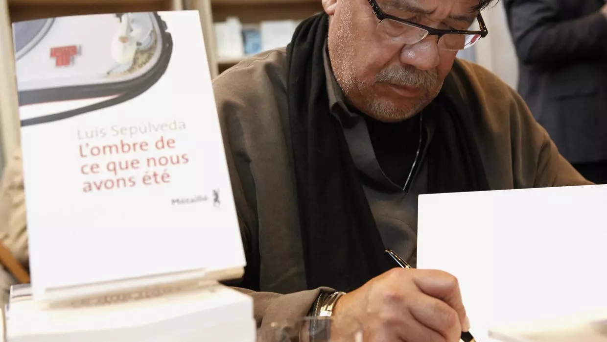 tac gia con meo day hai au bay qua doi anh 1