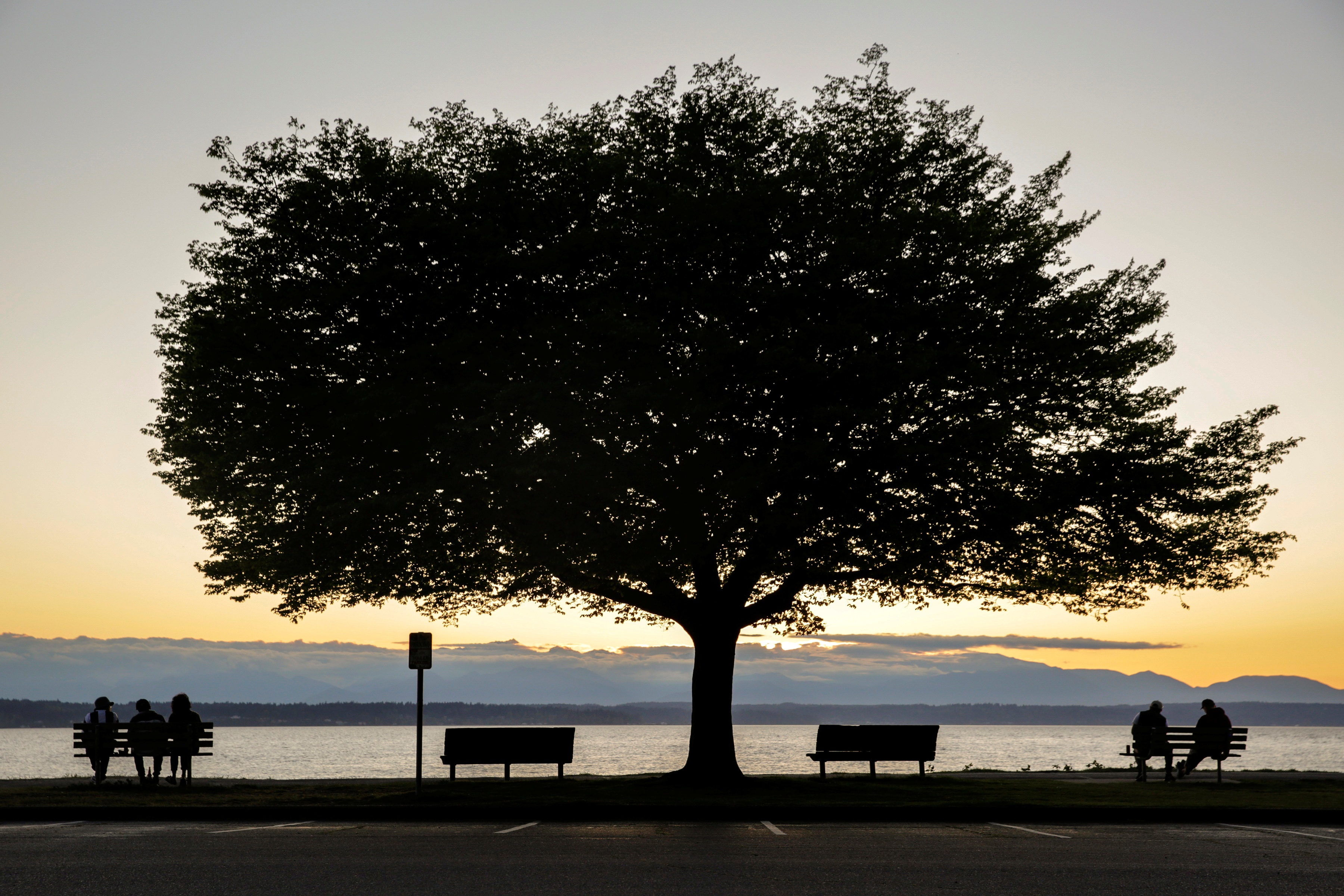 gen virus corona anh 3