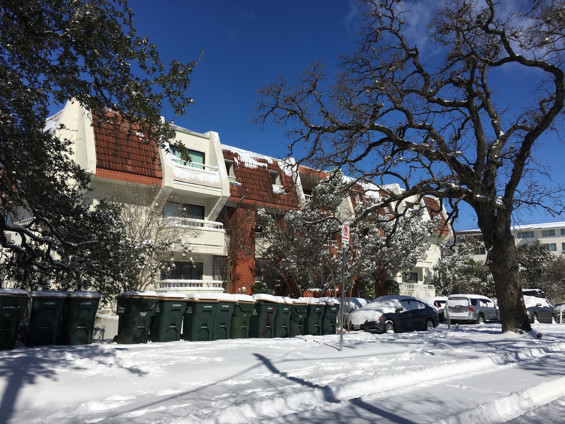 bao tuyet Texas anh 4