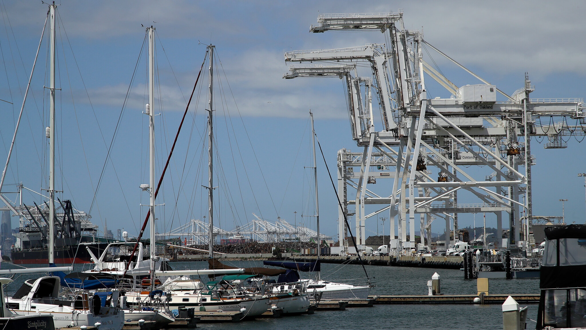 Khong ben cang nao tren the gioi co the mot minh chuyen doi xanh hinh anh