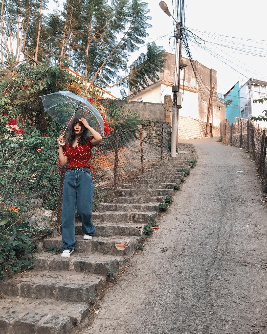 doc nha bo bi cam anh 2