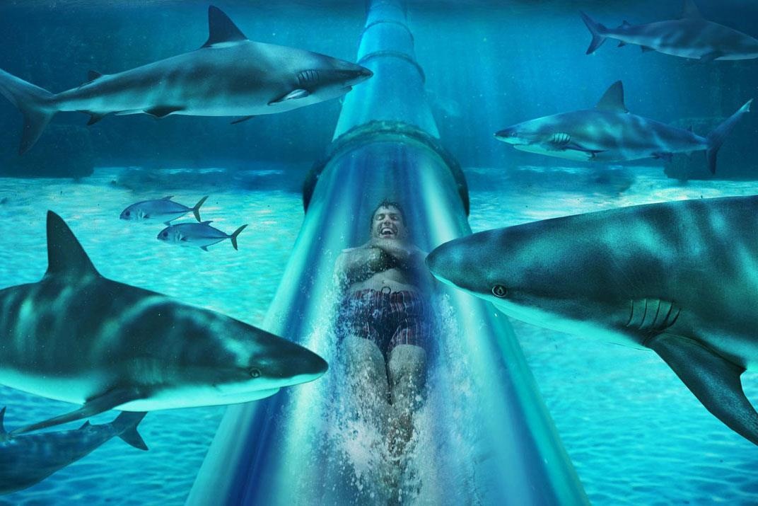 Truot mang xuyen be ca map tai cong vien nuoc lon nhat Dubai hinh anh