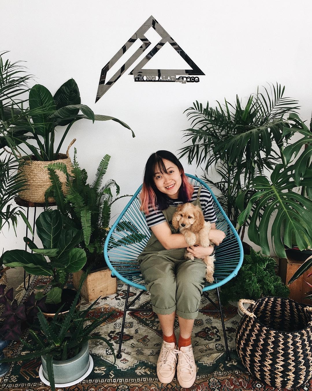 quan ca phe ngay gan Ho Xuan Huong Da Lat anh 10