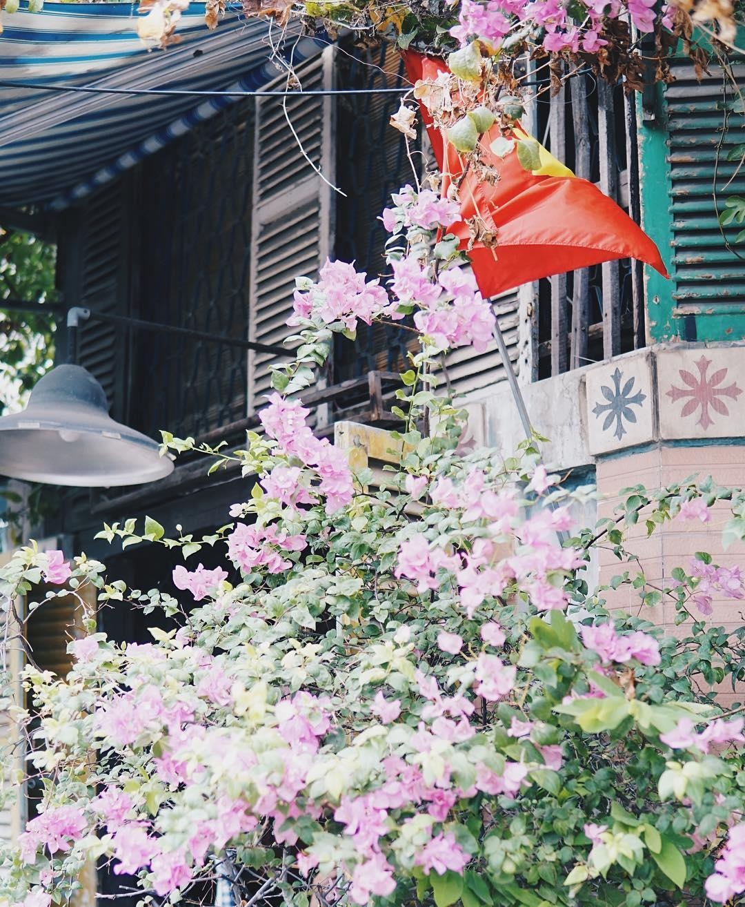 Tron nong tai 5 quan ca phe an yen o TP.HCM dip le anh 13