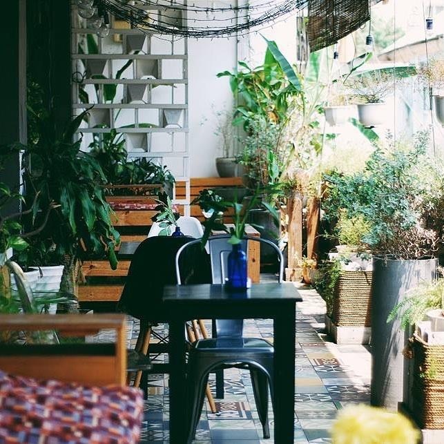 Tron nong tai 5 quan ca phe an yen o TP.HCM dip le anh 2