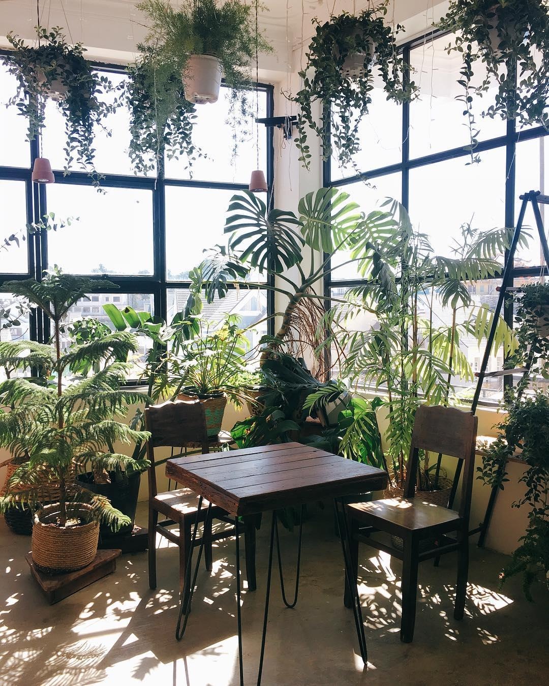 quan ca phe ngay gan Ho Xuan Huong Da Lat anh 8