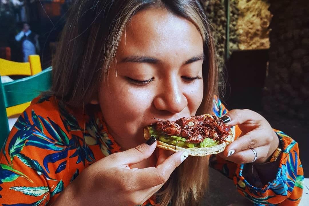 Nha hang 100 nam tuoi noi tieng voi mon au trung chien, cocktail de hinh anh