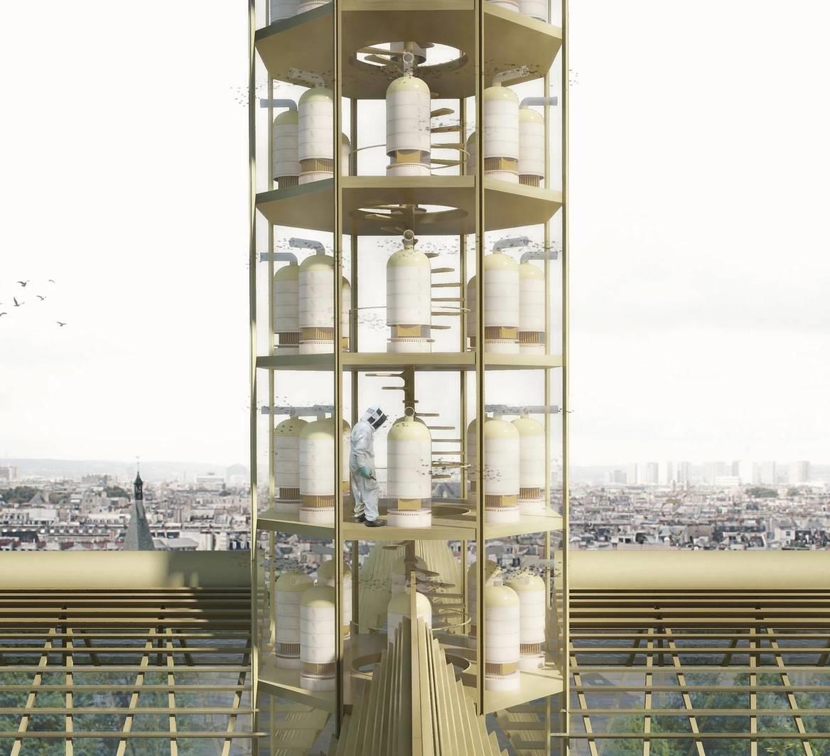 Dien mao moi cua nha tho Duc Ba Paris anh 5