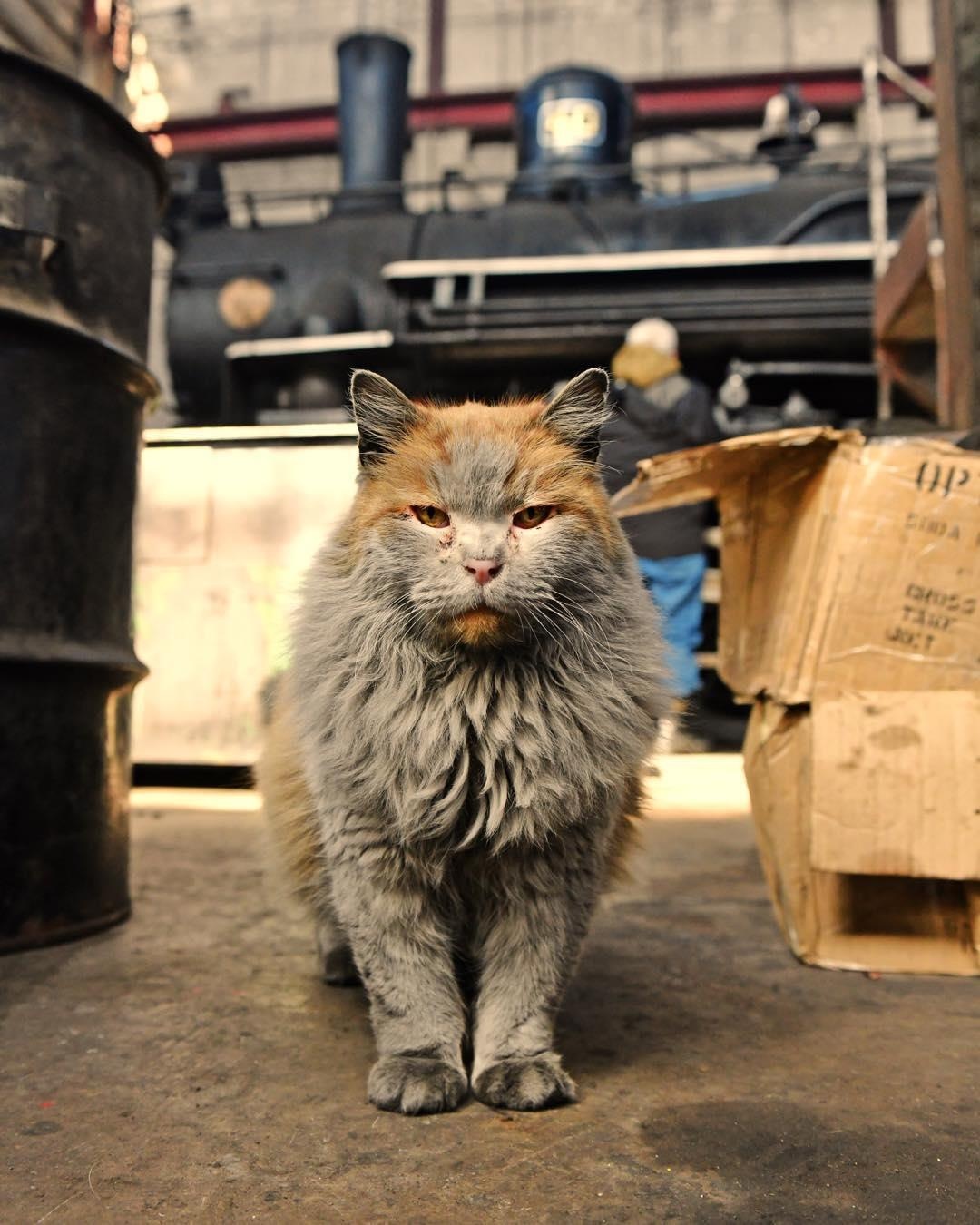 Guong mat dai dien hut khach tai ga xe lua My anh 2