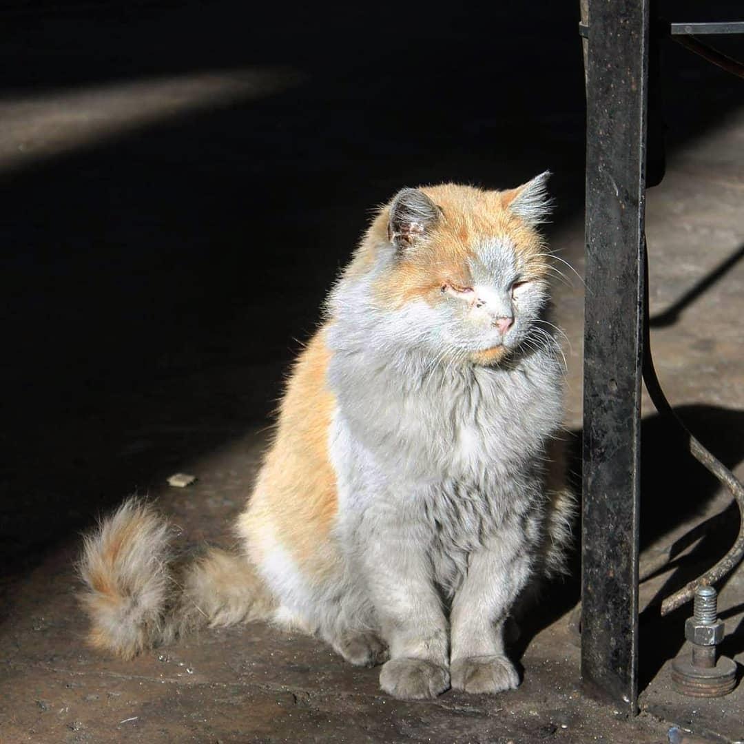 Guong mat dai dien hut khach tai ga xe lua My anh 3