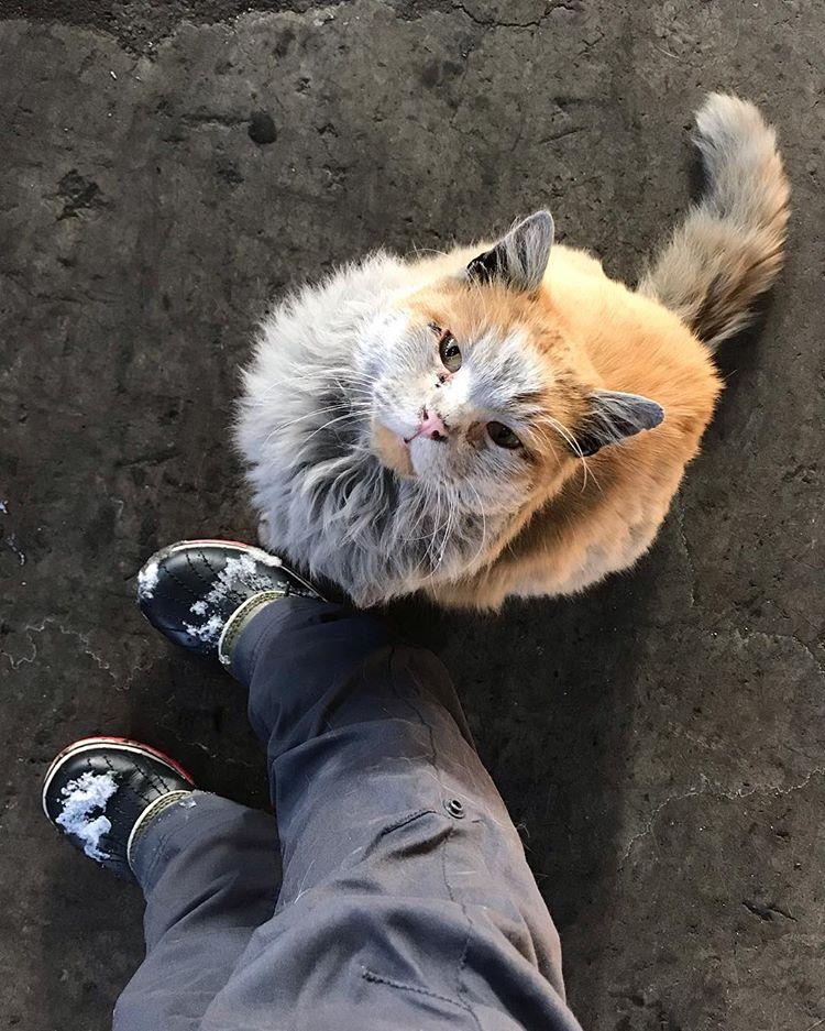 Guong mat dai dien hut khach tai ga xe lua My anh 8