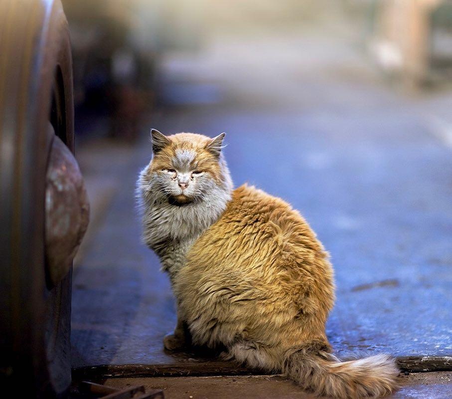 Guong mat dai dien hut khach tai ga xe lua My anh 4