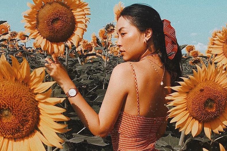 Vuon huong duong lon nhat TP.HCM hoang tan sau 3 tuan mo cua hinh anh