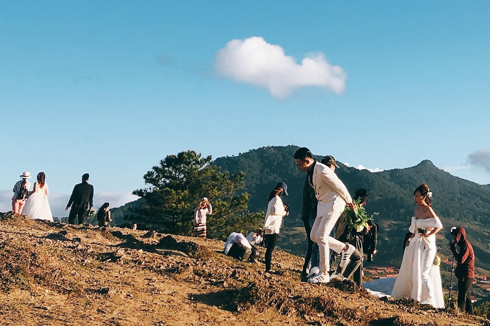 Cô dâu chú rể chen chúc chụp ảnh cưới ở đồi Đà Lạt ảnh 3 Co dau chu re chen chuc chup anh cuoi o doi Da Lat anh 3
