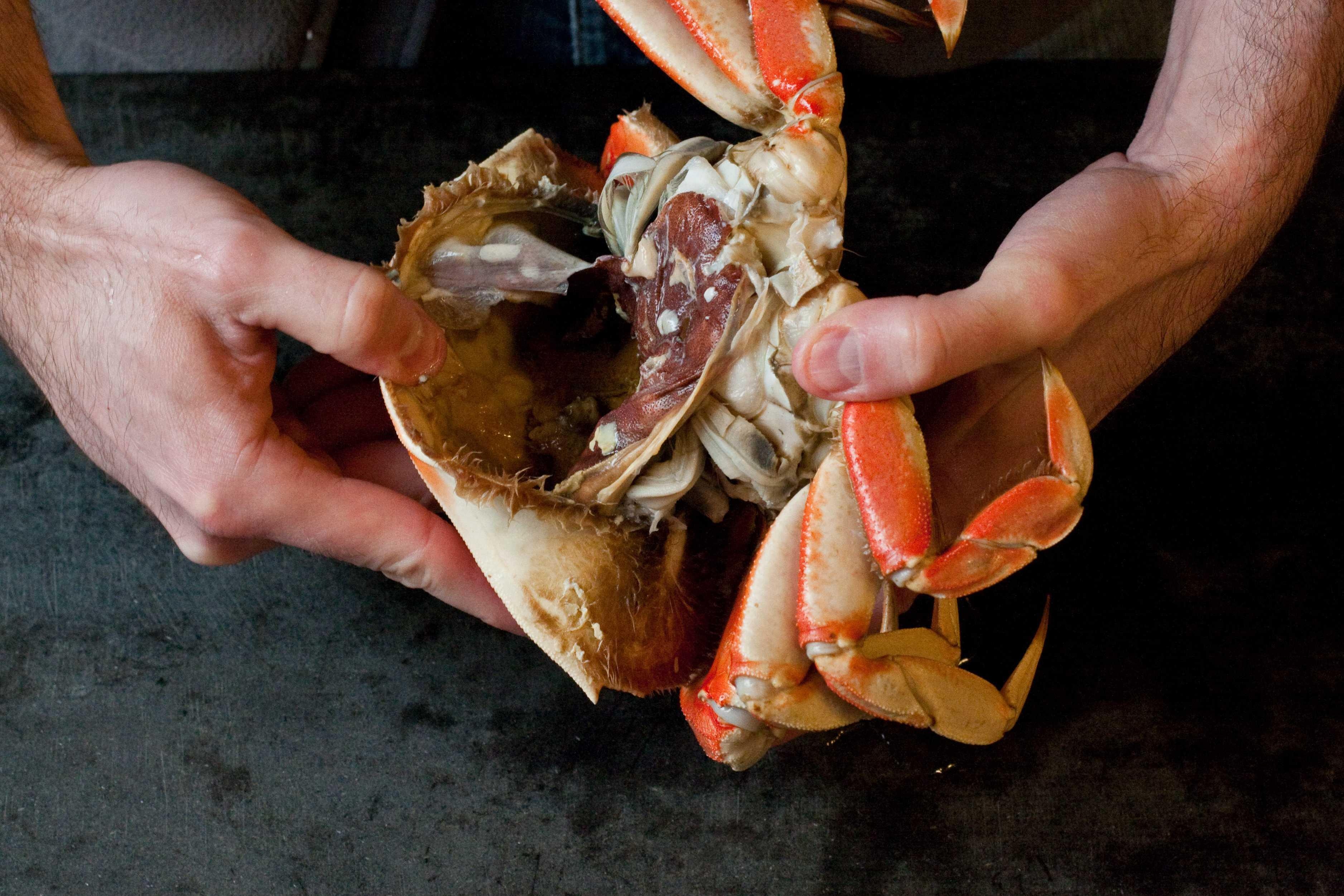 Tach vo cua khong bo sot phan thit nao nhu dau bep chuyen nghiep hinh anh