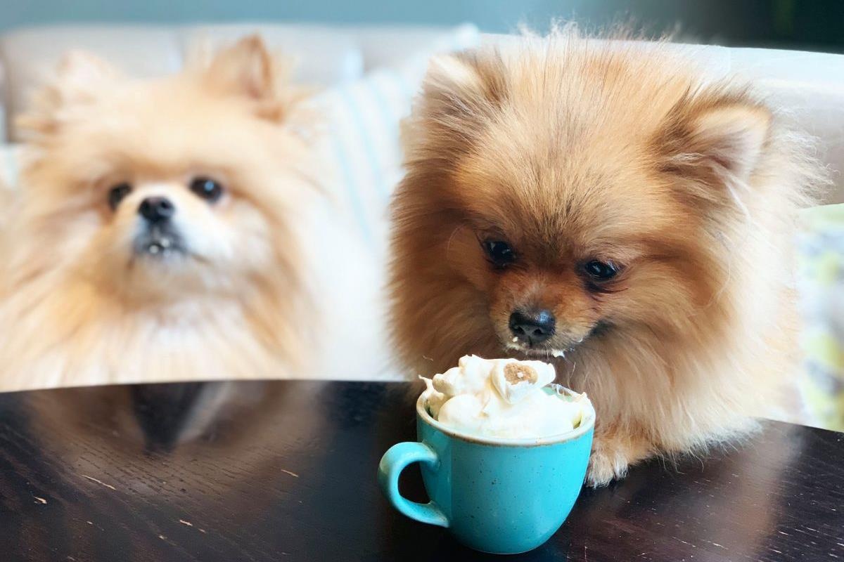 Quan ca phe co thuc don danh rieng cho cho hinh anh