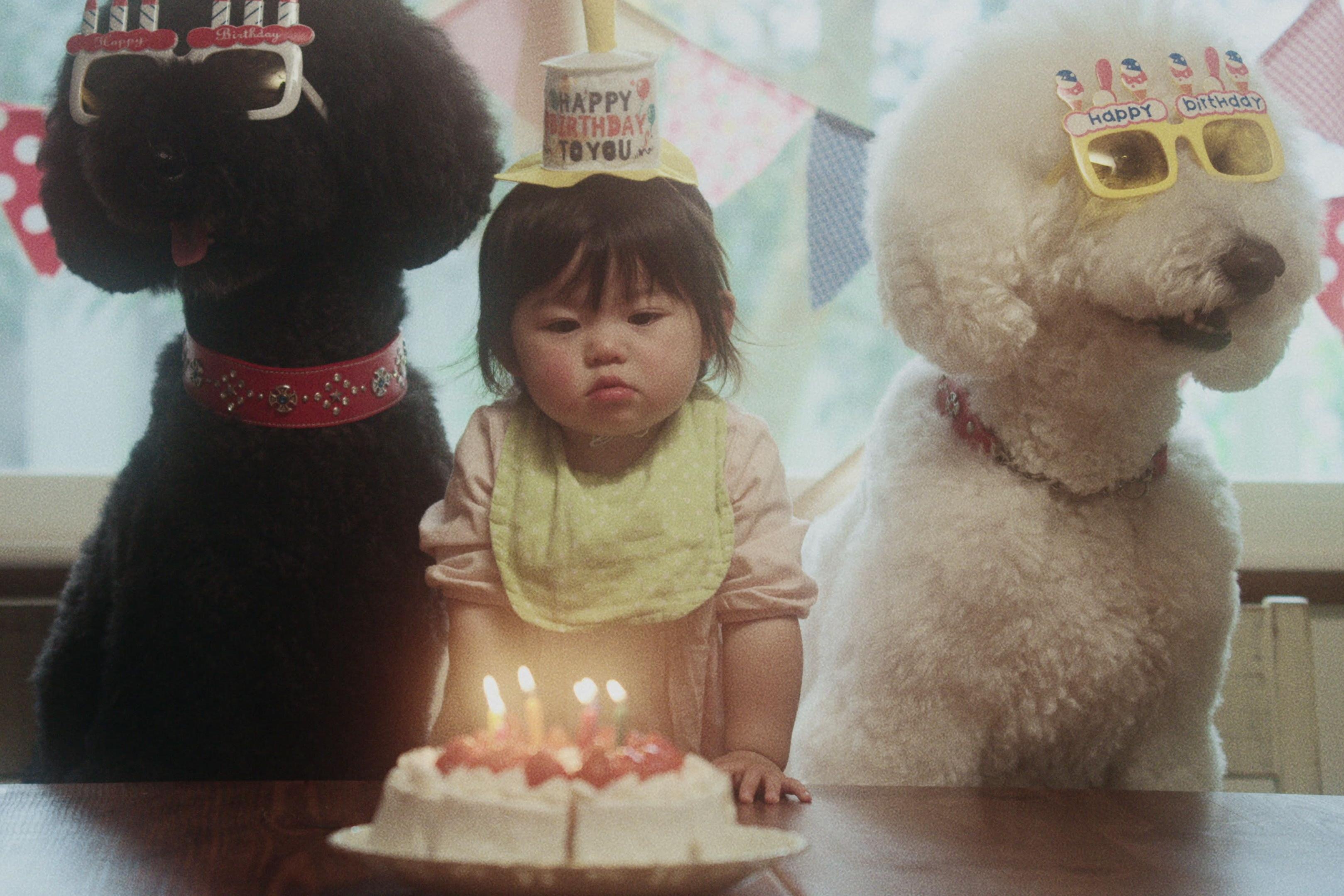 Em be Nhat Ban tinh nghich cho cho cung an banh hinh anh