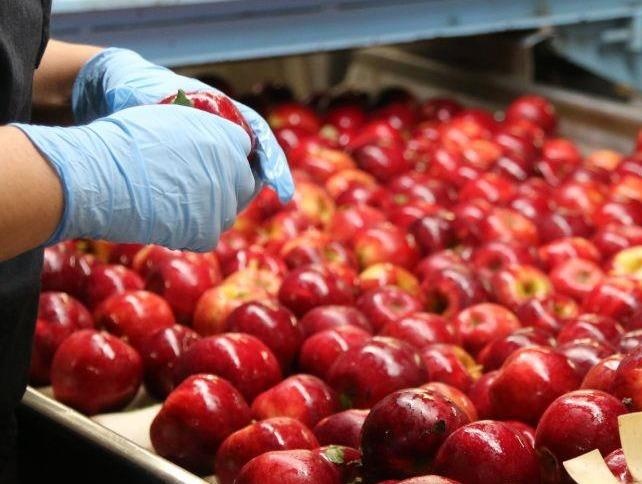 Kham pha quy trinh san xuat va dong goi tao o nuoc ngoai hinh anh